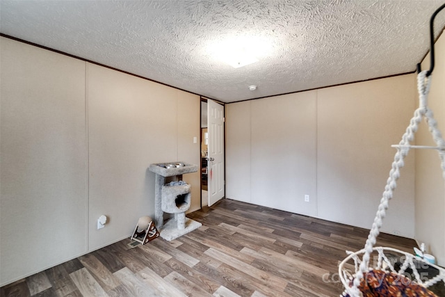 basement with wood-type flooring and a textured ceiling