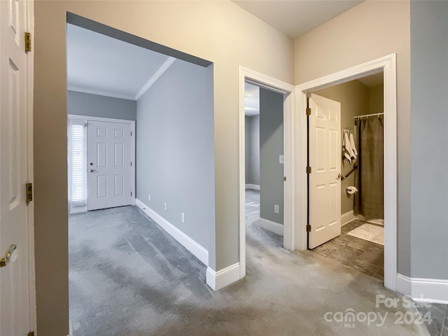 hall with ornamental molding and carpet floors