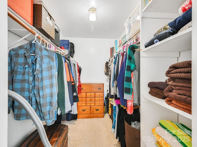 walk in closet with carpet floors