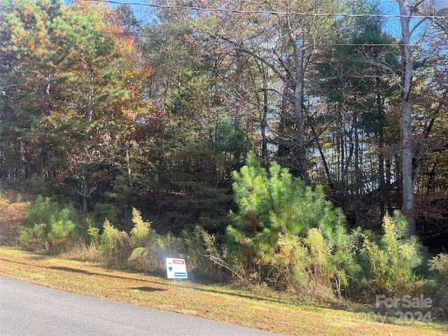 Listing photo 3 for 5668 Marblestone Dr Unit 41, Granite Falls NC 28630