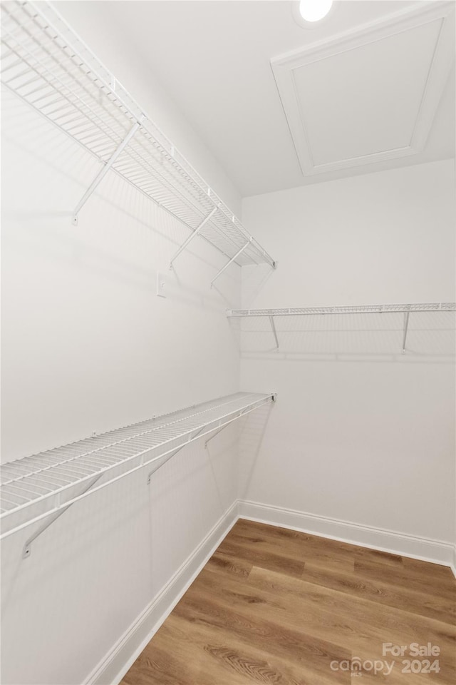 spacious closet featuring hardwood / wood-style flooring