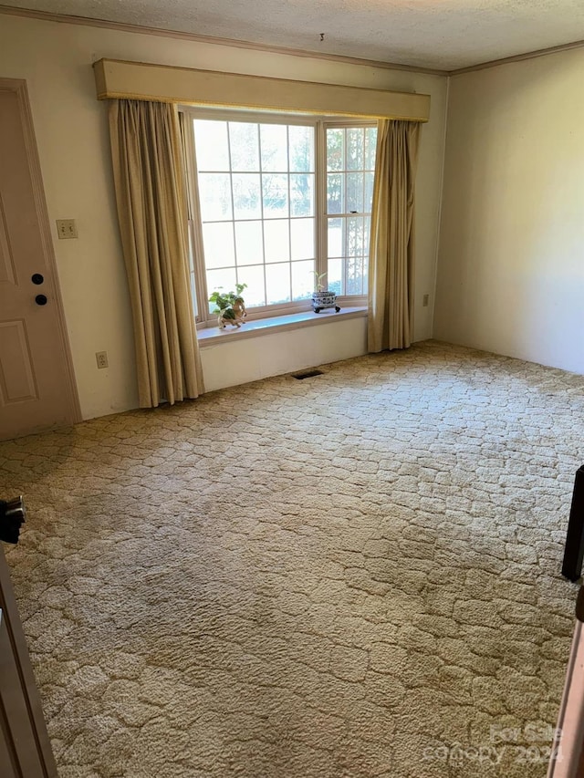 unfurnished room featuring carpet and a textured ceiling