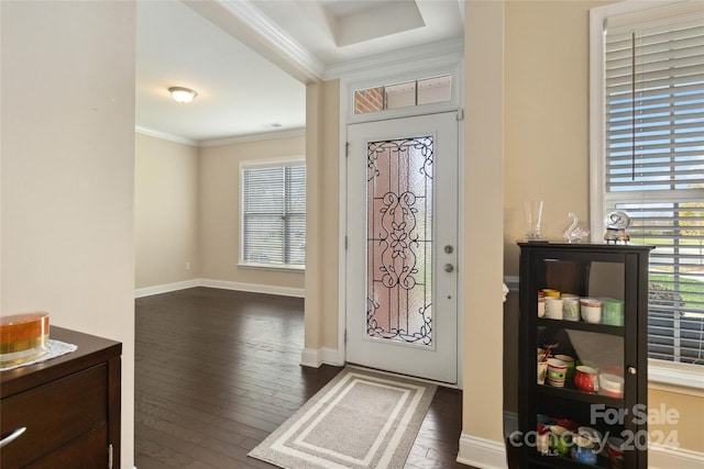 foyer featuring ornamental molding and dark hardwood / wood-style flooring