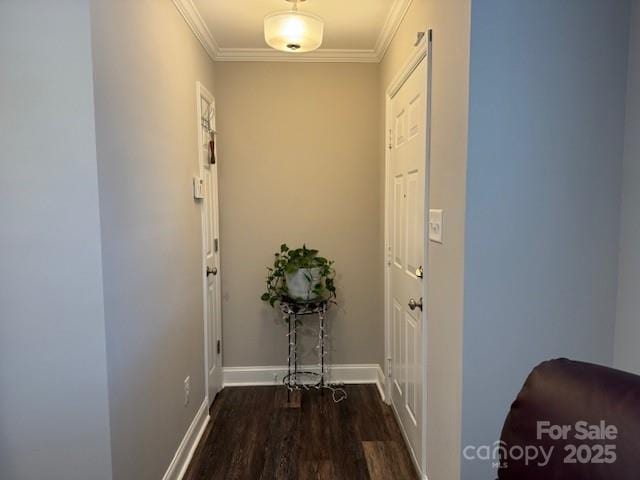 hall with ornamental molding and dark hardwood / wood-style floors