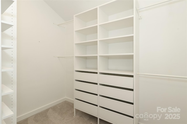 walk in closet with light colored carpet