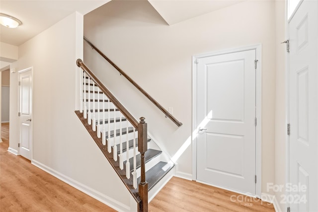 staircase featuring wood-type flooring