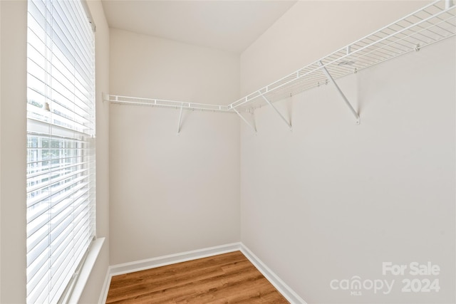 walk in closet with wood-type flooring