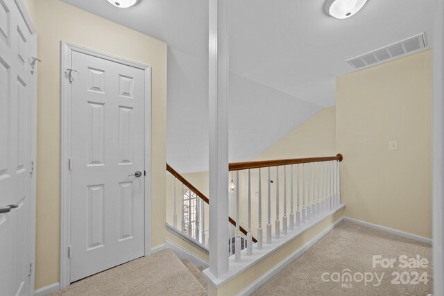 stairs featuring carpet floors