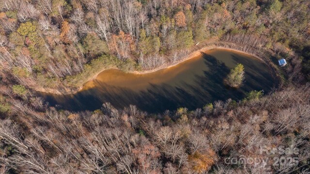 329 Grady Mcneilly Rd, Casar, NC 28020