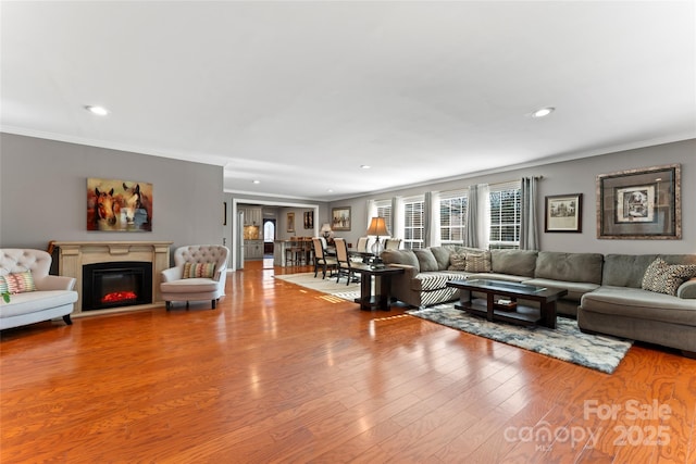 living room featuring light hardwood / wood-style floors and ornamental molding