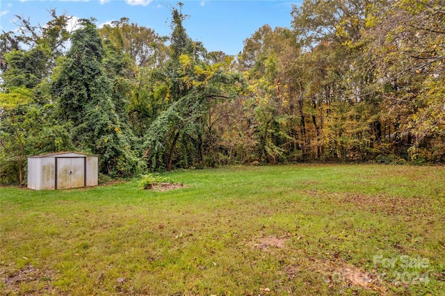 view of yard with a storage shed