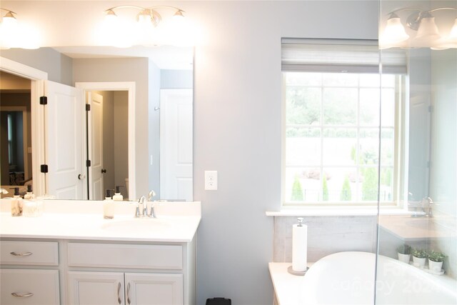 bathroom featuring a bathtub, vanity, and plenty of natural light