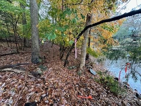 00 Senator Rd, Lake Wylie SC, 29710 land for sale