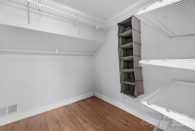 walk in closet featuring wood-type flooring