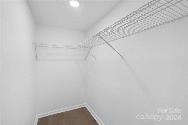 spacious closet with hardwood / wood-style flooring