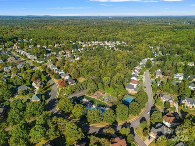 bird's eye view