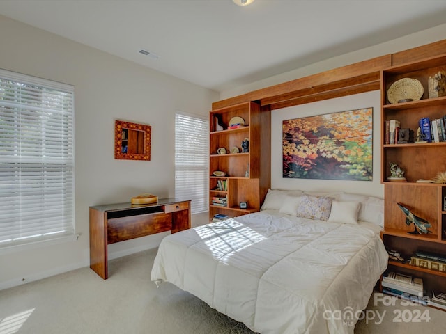 bedroom with multiple windows and carpet floors