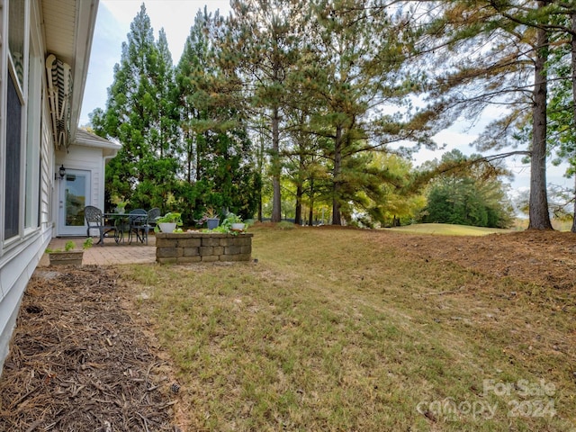 view of yard with a patio area