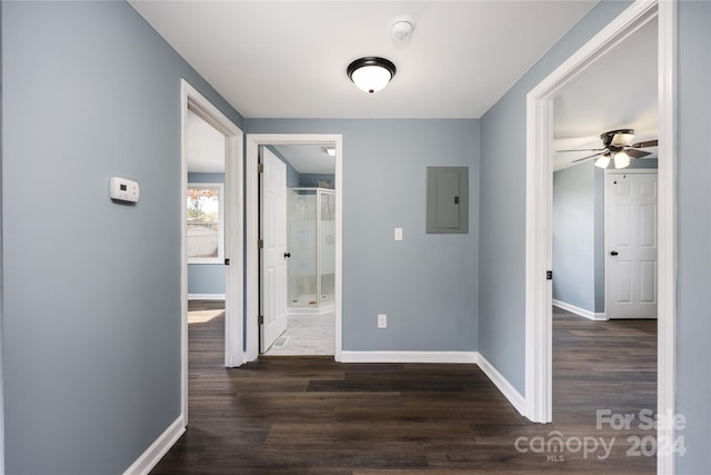 hall with electric panel and dark hardwood / wood-style flooring