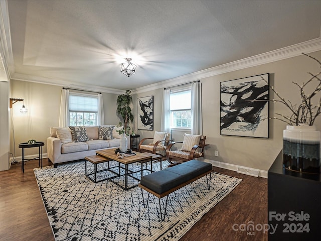 living room featuring dark hardwood / wood-style floors, ornamental molding, and a textured ceiling