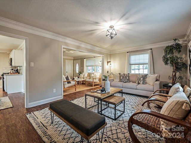 living room featuring hardwood / wood-style flooring, a textured ceiling, and ornamental molding