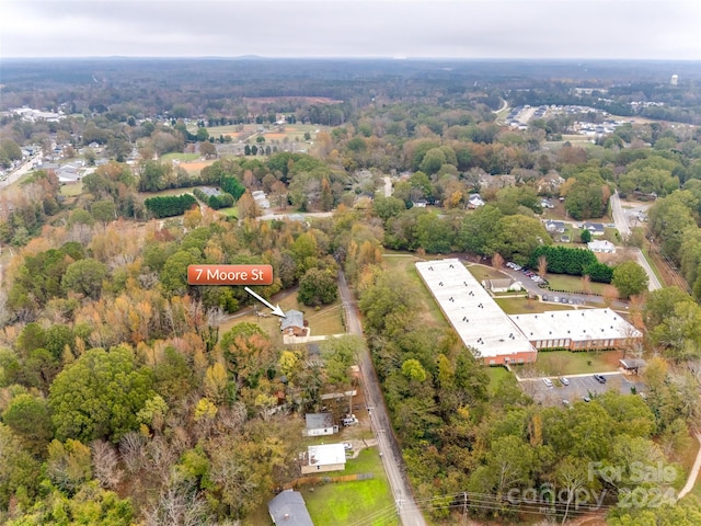 bird's eye view