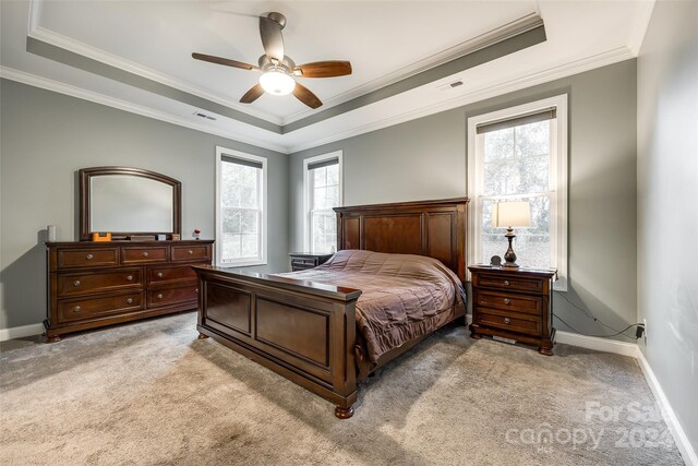 carpeted bedroom with ceiling fan, ornamental molding, and a tray ceiling