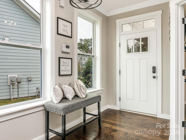 foyer entrance featuring crown molding and dark hardwood / wood-style flooring