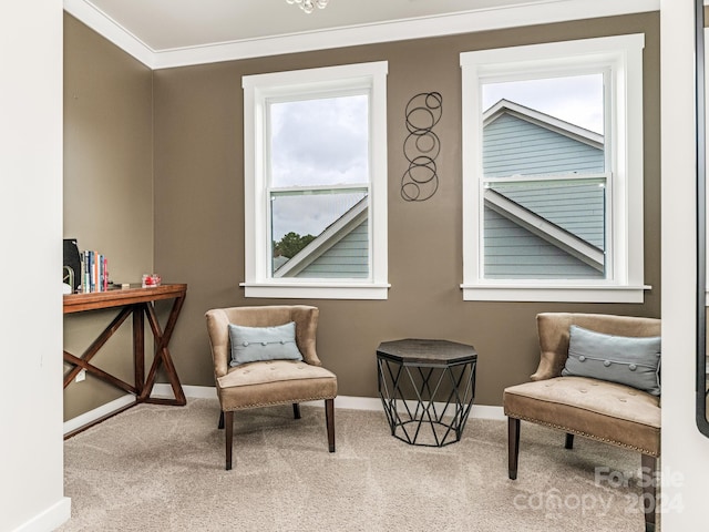 living area featuring light carpet and ornamental molding