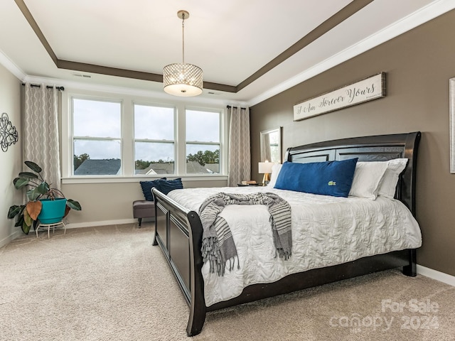 carpeted bedroom with multiple windows and a tray ceiling