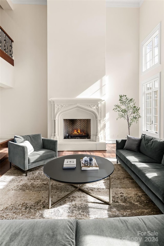 living room with a high ceiling, wood-type flooring, and crown molding