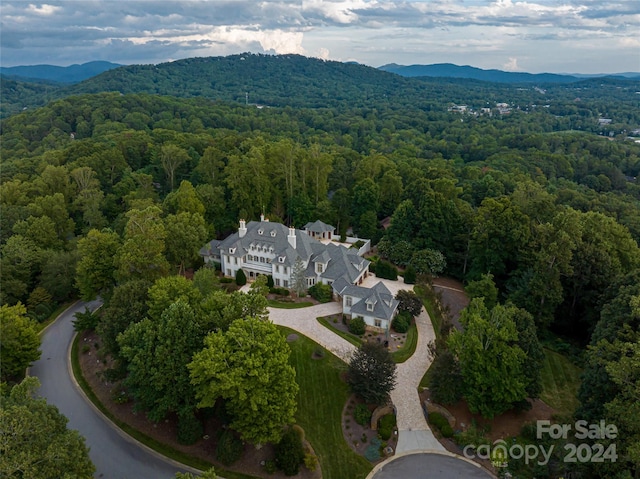 aerial view with a mountain view