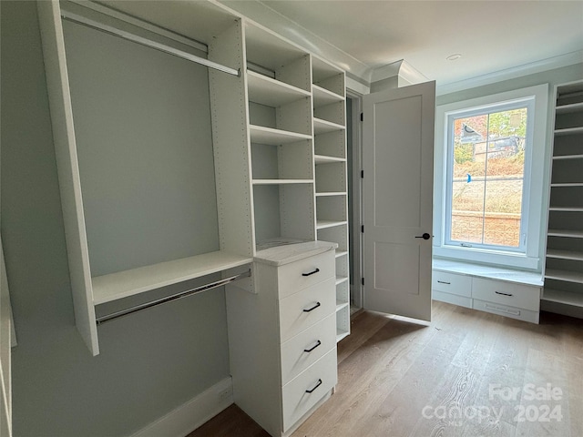 walk in closet with built in desk and light hardwood / wood-style flooring