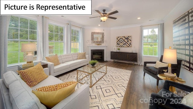 living room with ceiling fan, hardwood / wood-style floors, and ornamental molding