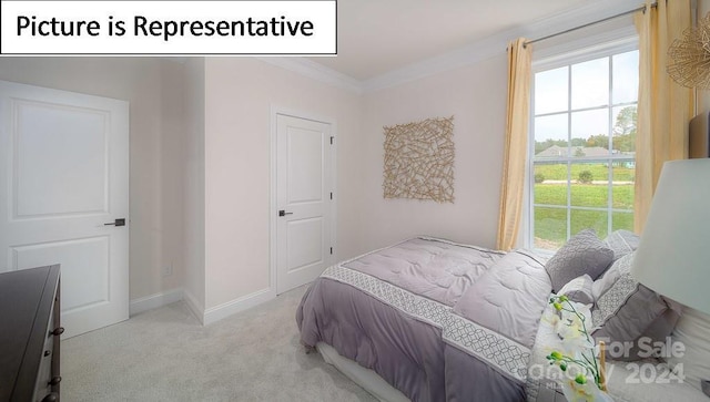 carpeted bedroom featuring multiple windows and ornamental molding