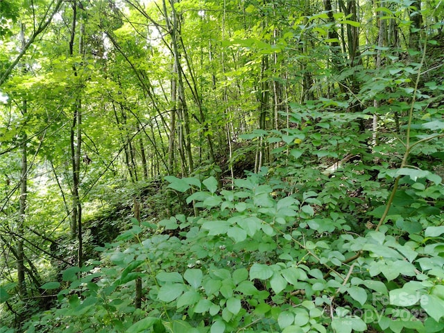 00 Yonah Trl Unit 7, Waynesville, NC 28785 - photo 5