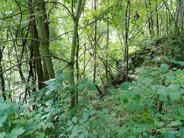 00 Yonah Trl Unit 7, Waynesville, NC 28785 - photo 6