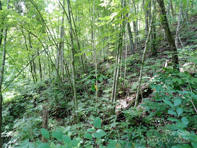 00 Yonah Trl Unit 7, Waynesville, NC 28785 - photo 10