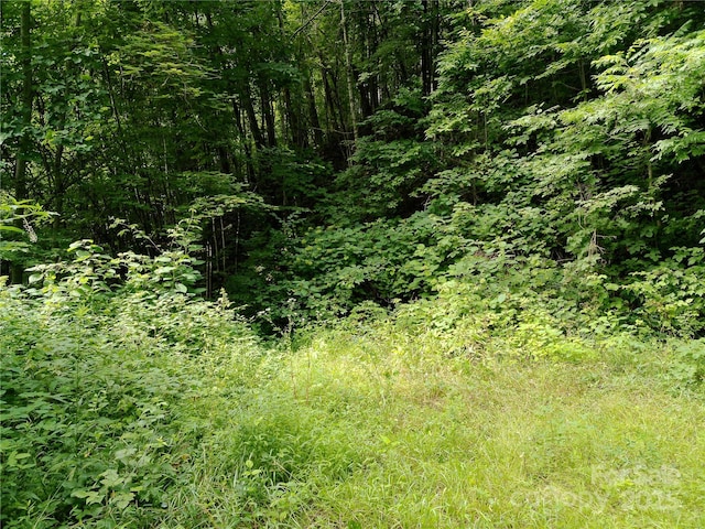00 Yonah Trl Unit 7, Waynesville, NC 28785 - photo 13