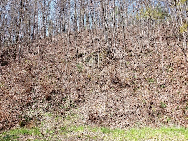 00 Yonah Trl Unit 7, Waynesville, NC 28785 - photo 14