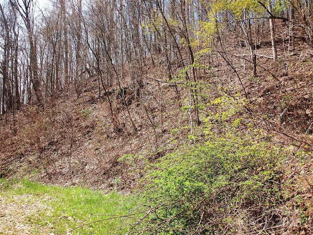 00 Yonah Trl Unit 7, Waynesville, NC 28785 - photo 15