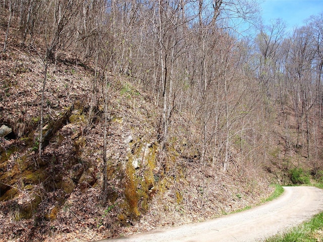 00 Yonah Trl Unit 7, Waynesville, NC 28785 - photo 16
