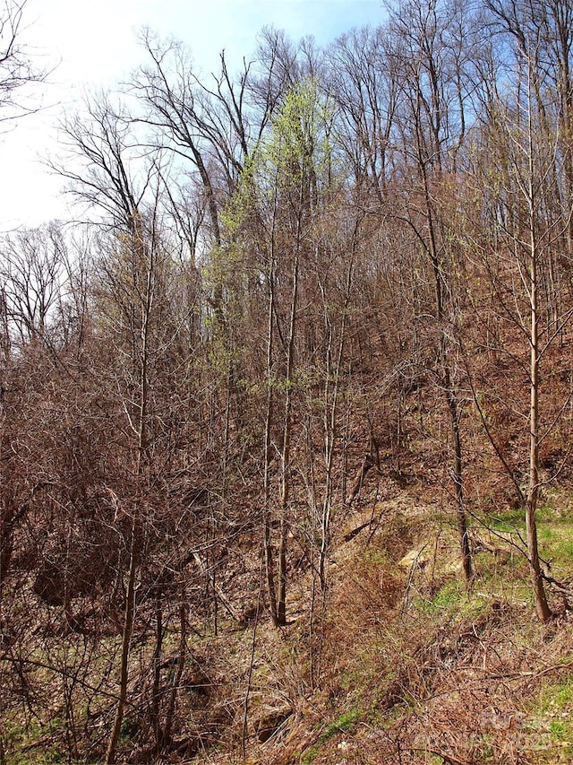00 Yonah Trl Unit 7, Waynesville, NC 28785 - photo 17
