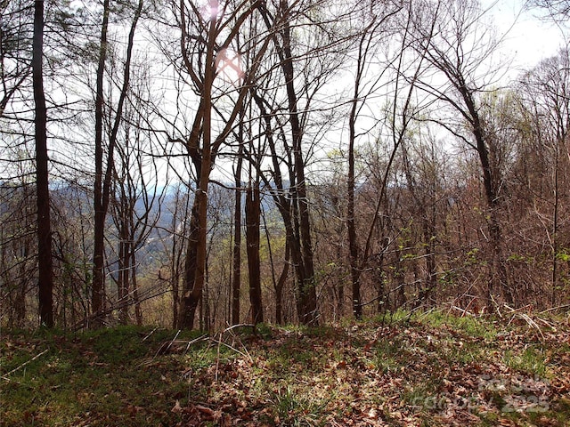 00 Yonah Trl Unit 7, Waynesville, NC 28785 - photo 18