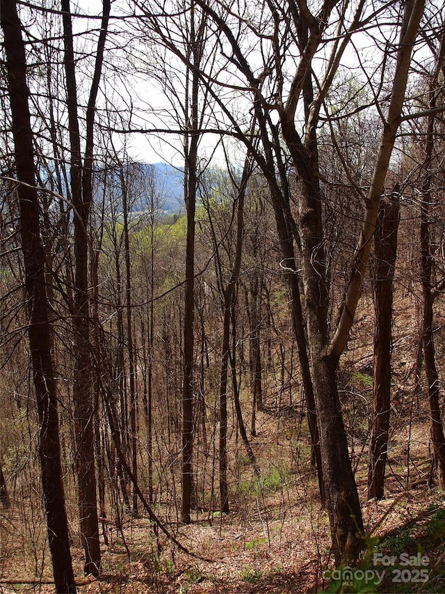 00 Yonah Trl Unit 7, Waynesville, NC 28785 - photo 19