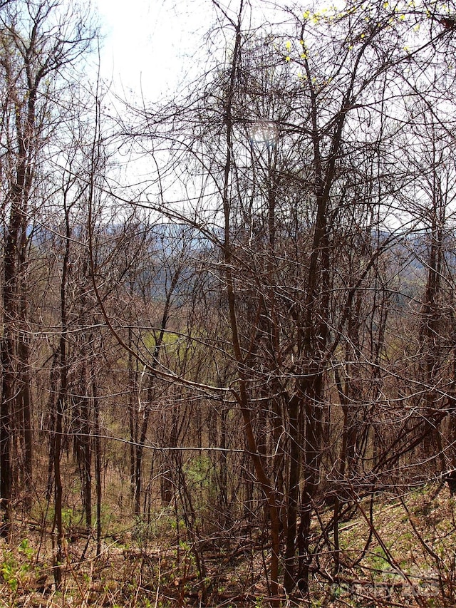 00 Yonah Trl Unit 7, Waynesville, NC 28785 - photo 20