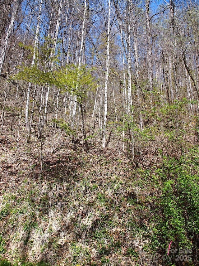00 Yonah Trl Unit 7, Waynesville, NC 28785 - photo 21