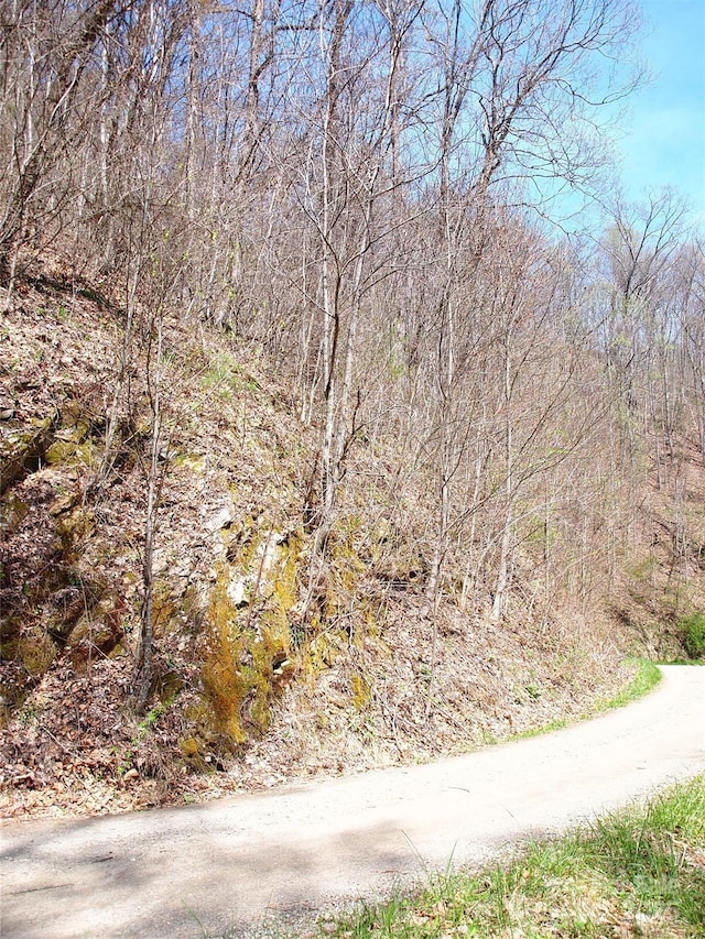 00 Yonah Trl Unit 7, Waynesville, NC 28785 - photo 22