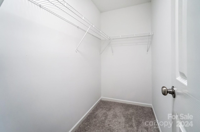 walk in closet featuring dark colored carpet