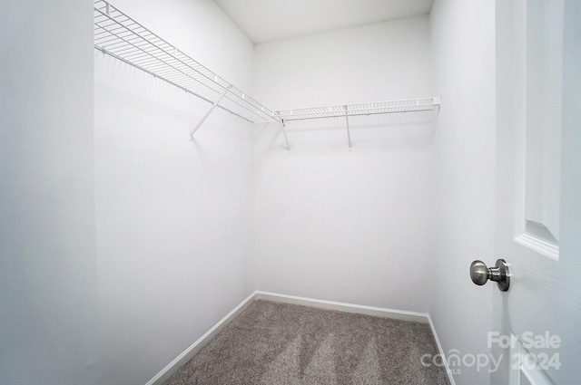 walk in closet featuring carpet flooring